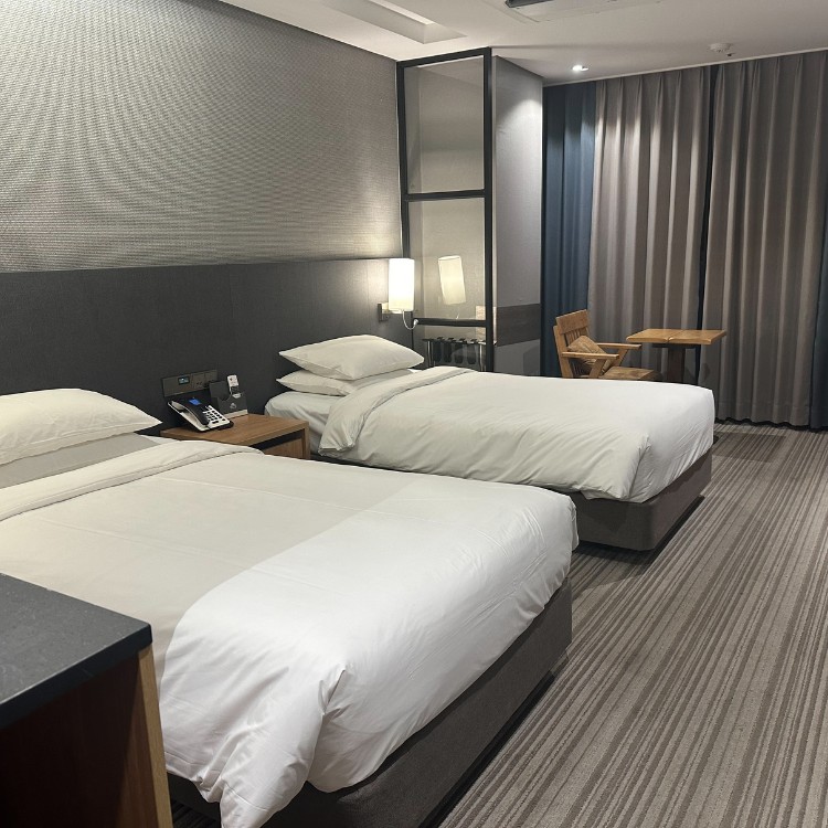 Remodeling and Painting in Dallas, TX